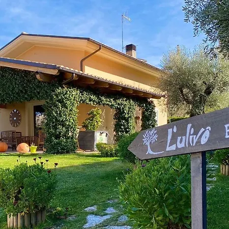 Bed & Breakfast L' Ulivo