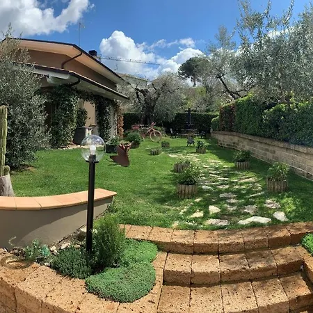 Bed & Breakfast L' Ulivo