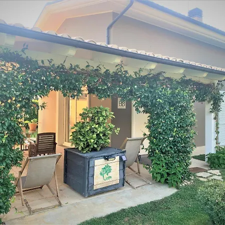 L' Ulivo Bed & Breakfast