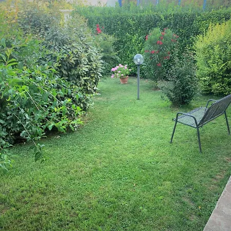 L' Ulivo