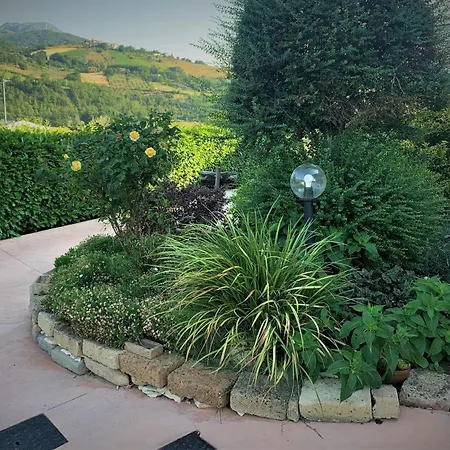 L' Ulivo 4*