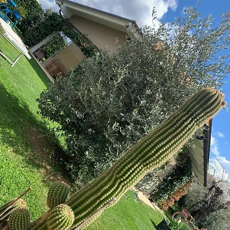 Bed & Breakfast L' Ulivo