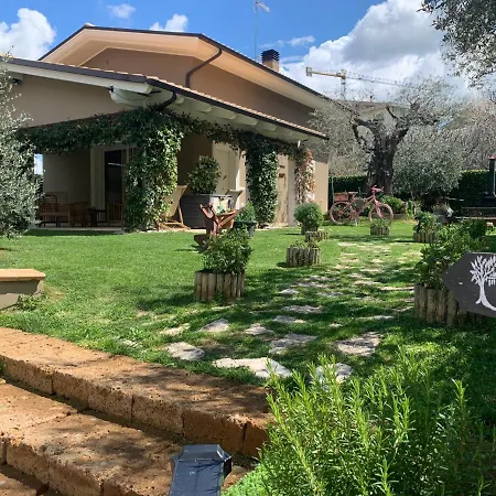 Couette-café L' Ulivo Teramo