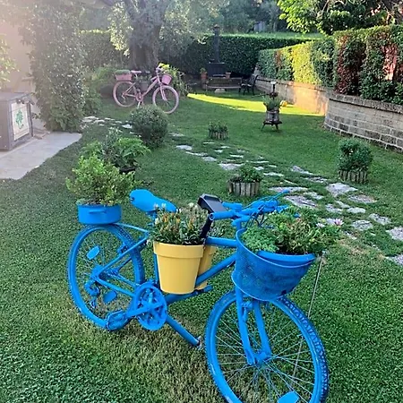 L' Ulivo 4*