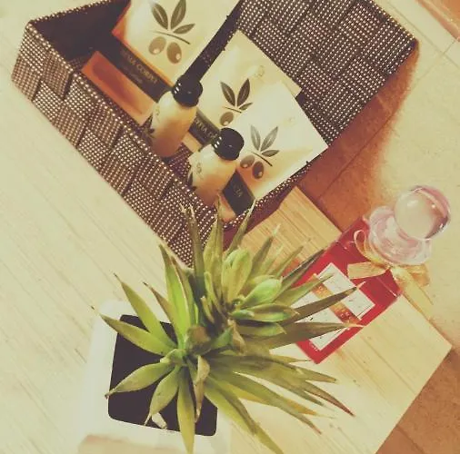 住宿加早餐酒店 L' Ulivo 4*