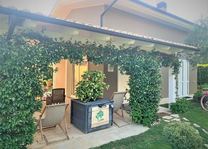 L' Ulivo 住宿加早餐酒店