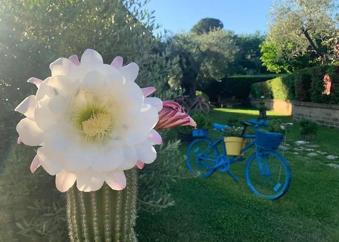 Bed & Breakfast L' Ulivo